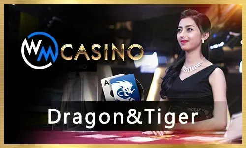 Interactive Live Dealers at abc8